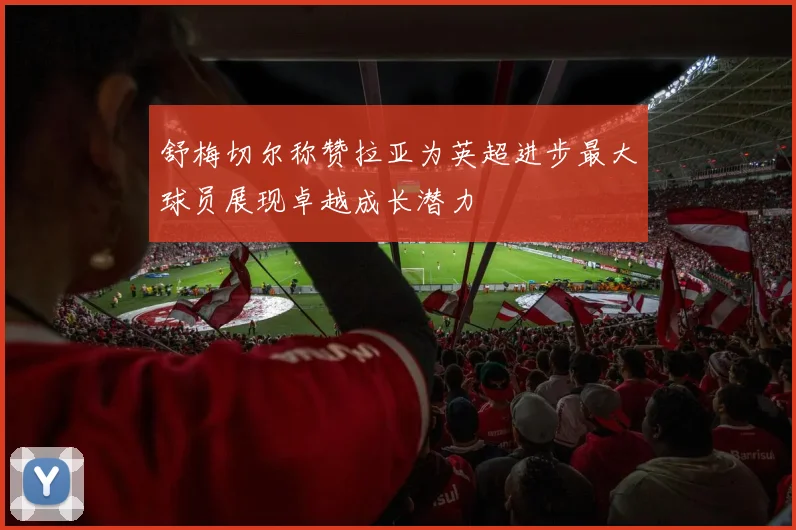 舒梅切尔称赞拉亚为英超进步最大球员展现卓越成长潜力